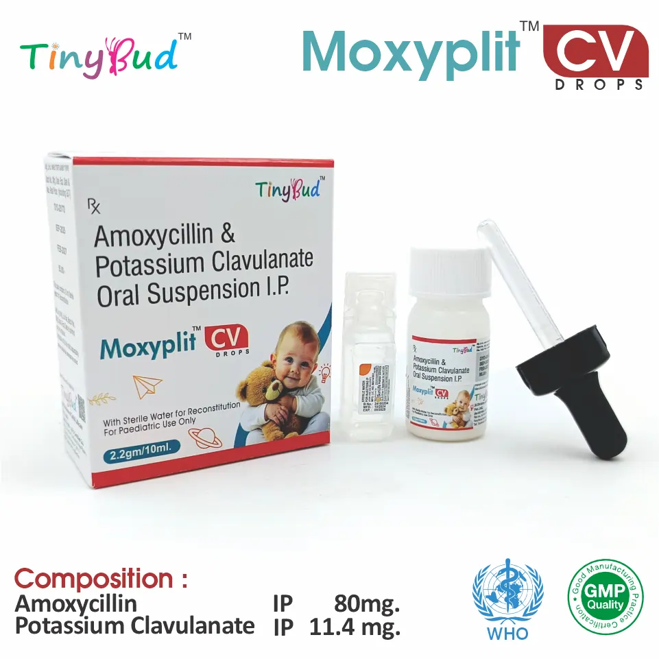 Amoxycillin + Clavulanic Acid Drop at the best price in PCD Pharma Franchise for bacterial infections and antibiotic care.